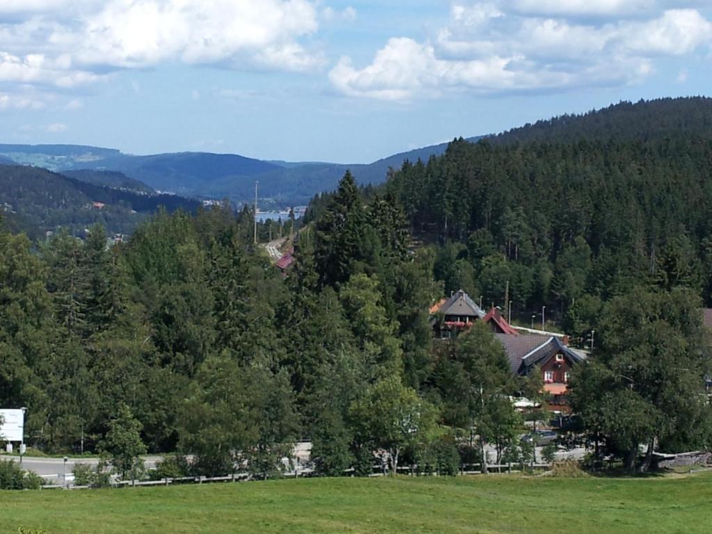 Schwarzwald-Chalet Feldberg فيلدبرج المظهر الخارجي الصورة