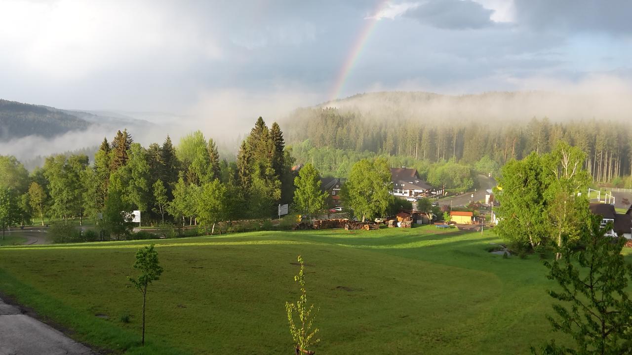 Schwarzwald-Chalet Feldberg فيلدبرج المظهر الخارجي الصورة